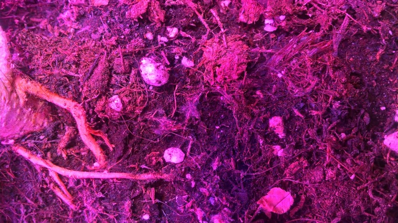 WP_20200930_21_04_30_Pro