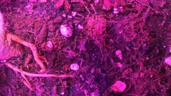 WP_20200930_21_04_30_Pro