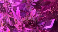 WP_20200930_21_03_39_Pro