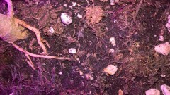 WP_20200930_21_04_39_Pro