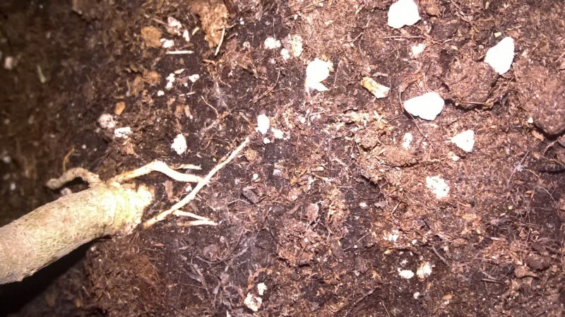 WP_20200930_23_24_07_Pro