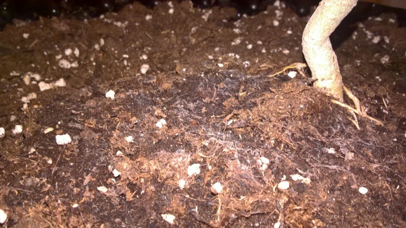 WP_20200930_23_20_47_Pro