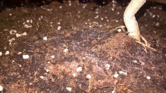 WP_20200930_23_20_47_Pro