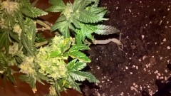 WP_20200930_23_15_40_Pro