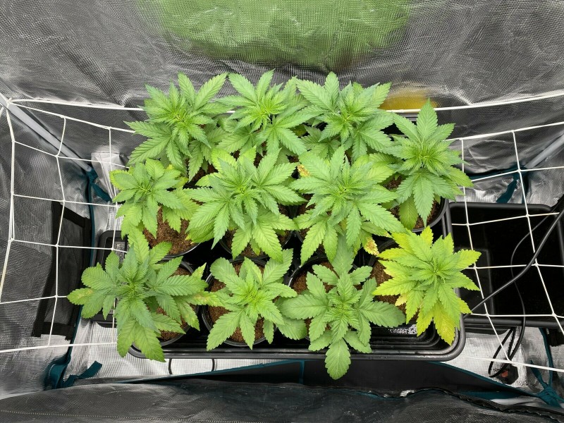 26A190BF-888F-4CEE-886A-974AC90B8C21