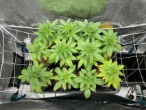 26A190BF-888F-4CEE-886A-974AC90B8C21