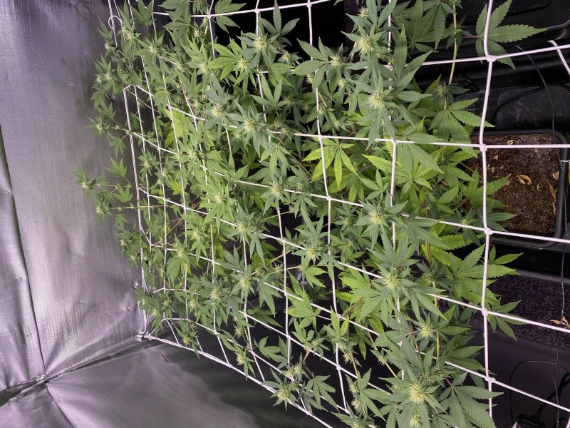 C122120E-743A-4591-9510-5160FEA88A29