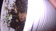 WP_20201002_13_04_04_Pro