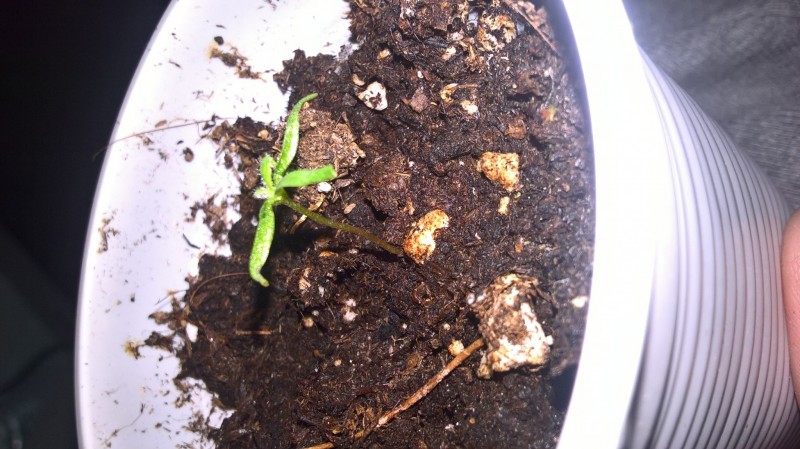 WP_20201002_13_05_16_Pro