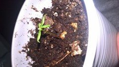 WP_20201002_13_05_16_Pro