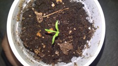 WP_20201002_13_05_03_Pro