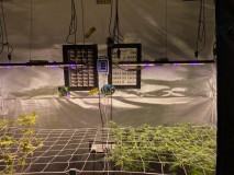 29C80799-977C-4A58-8073-ACAA06C4CFEB