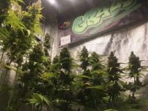 16B59E55-FE7C-471E-ACB7-3E620CA64D49