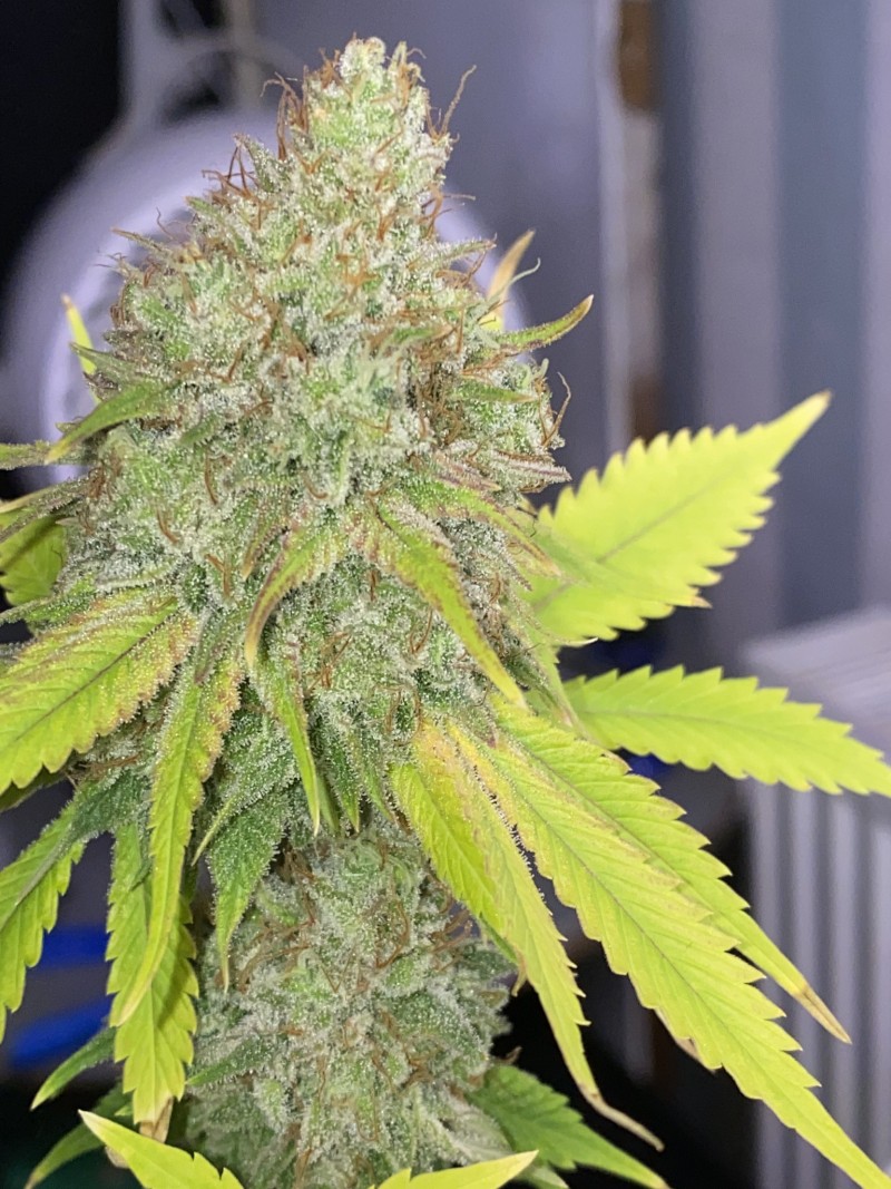 60907BCF-1A06-4E9E-B8EC-B444E7FD143D