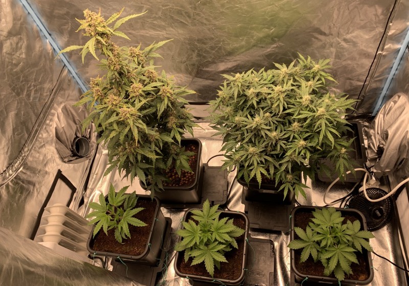 E371CC81-F53E-4AAC-B723-299A8E1B217C