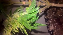 WP_20201005_15_50_30_Pro