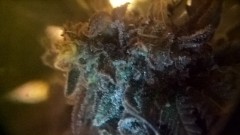 WP_20201005_22_39_04_Pro