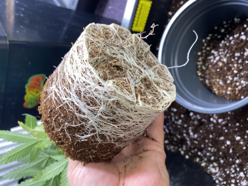 A4B1B58B-A95B-4284-A55B-A3D4205E857B