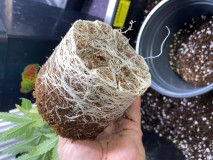 A4B1B58B-A95B-4284-A55B-A3D4205E857B