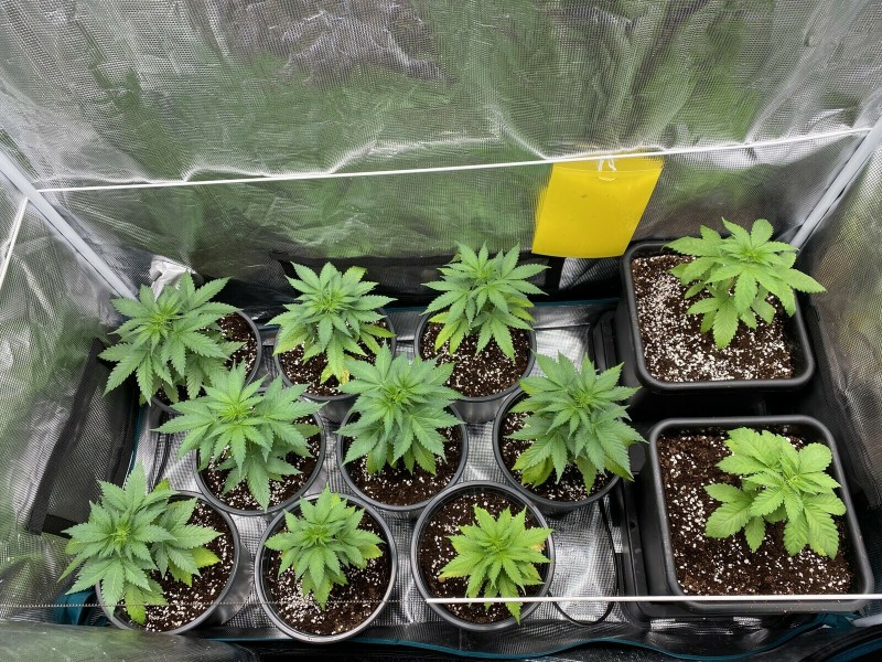 B4F8C9DD-15A0-4829-A03A-19F9B7532D62