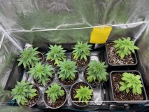 B4F8C9DD-15A0-4829-A03A-19F9B7532D62