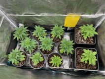 3A29EC20-6ECA-4189-AD98-044F33411EB3