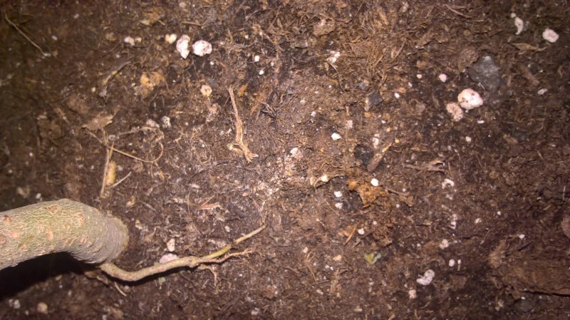 WP_20201009_20_36_10_Pro