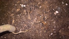 WP_20201009_20_36_10_Pro