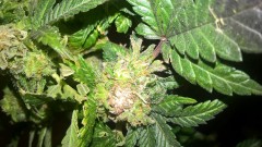 WP_20201009_20_40_21_Pro