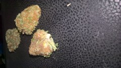 WP_20201010_14_23_26_Pro