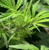 5FC641BA-0D02-4834-ADF9-75203D31DC2A