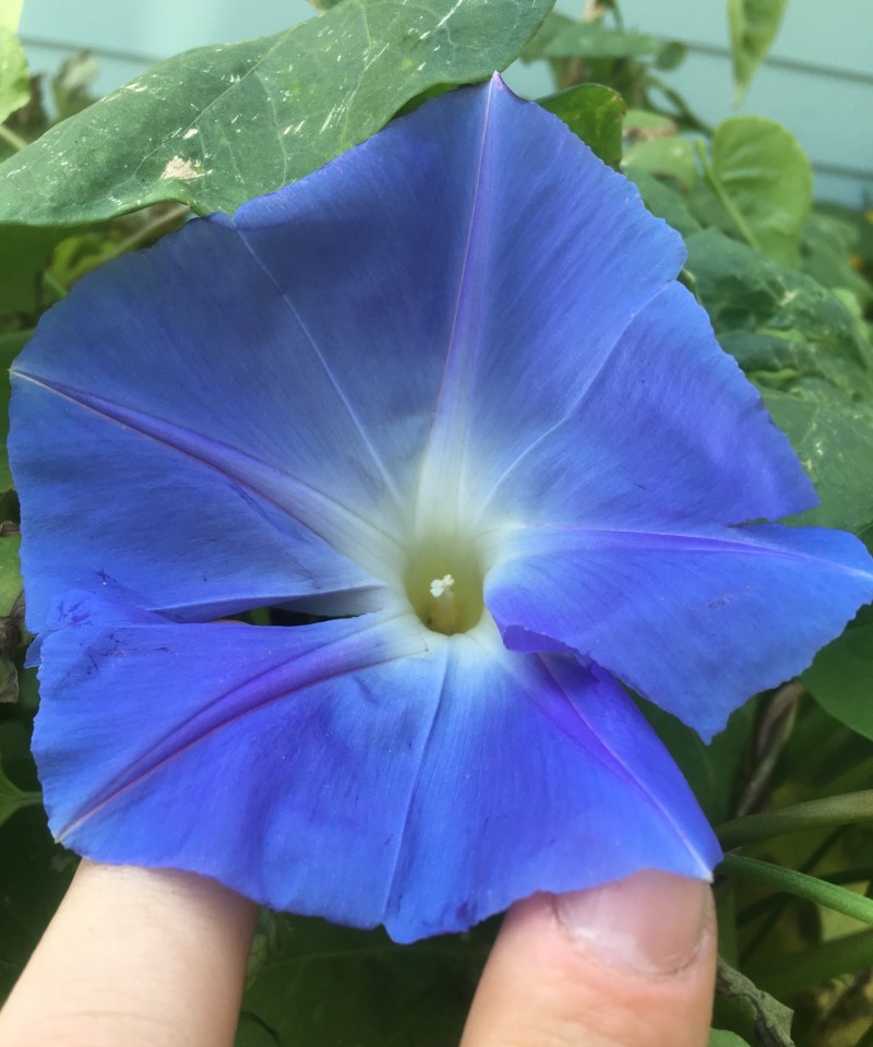 7A783D0B-79DF-44CA-A0A8-FBF4EADB70A4