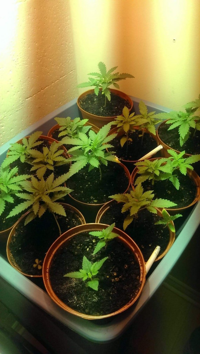 received_639895823387679