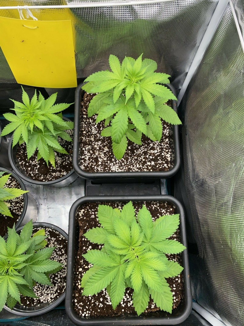 B3A745A8-3090-4657-ACCC-47AC12C377DA