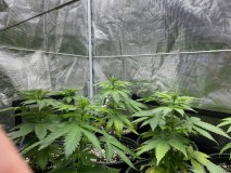 ED40B2DC-3547-4BFE-89B8-B64C36CFC66A