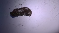 WP_20201012_18_14_40_Pro