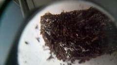 WP_20201012_18_18_46_Pro