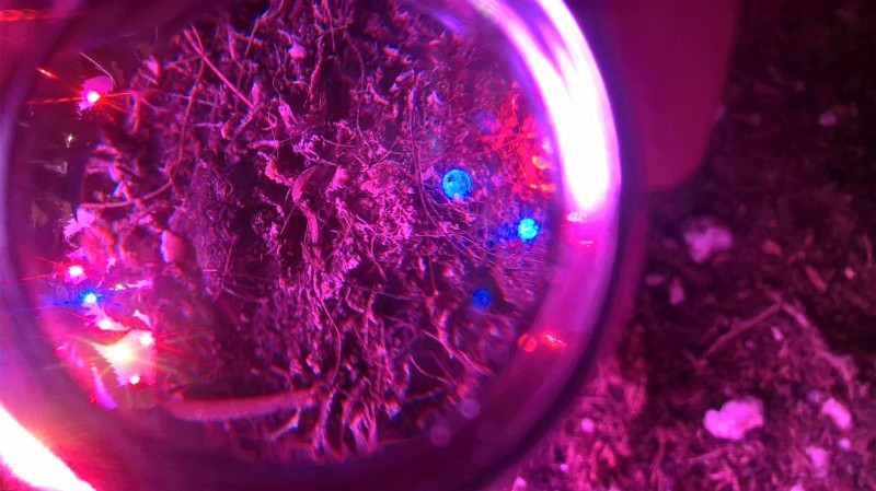 WP_20201012_18_02_46_Pro