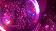 WP_20201012_18_02_46_Pro