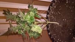 WP_20201012_19_23_30_Pro