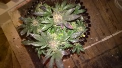 WP_20201012_19_25_17_Pro