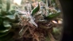 WP_20201014_15_54_41_Pro