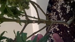 WP_20201014_16_59_21_Pro