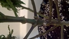 WP_20201014_17_00_25_Pro