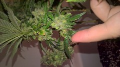 WP_20201014_17_02_21_Pro