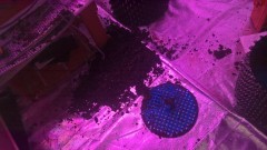 WP_20201016_17_22_59_Pro