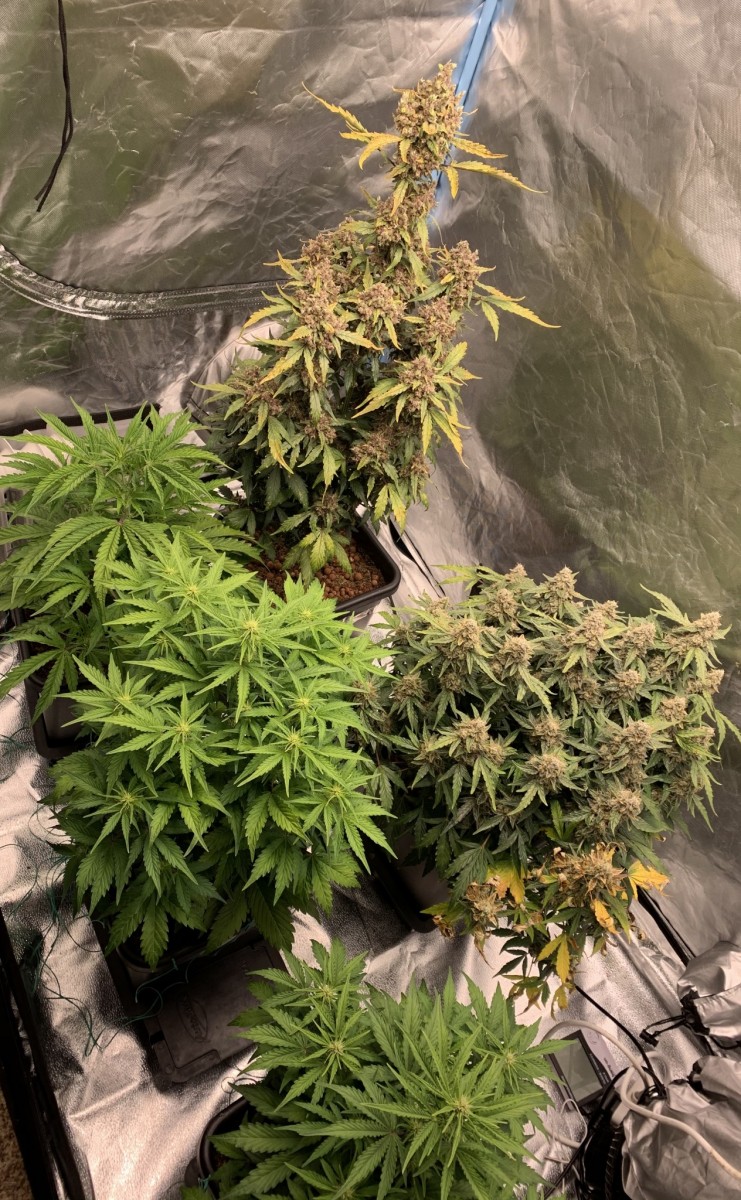 268DF35D-A6F9-4EA2-AD9C-1352AA6F0B48