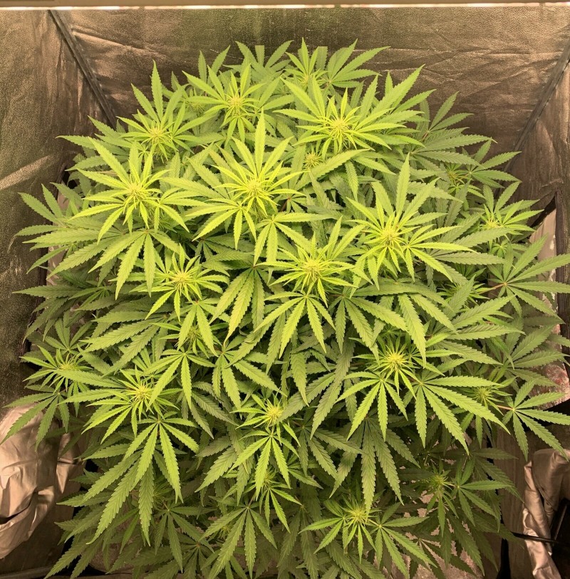 6C88162D-E323-412E-9D69-593754A4DC97