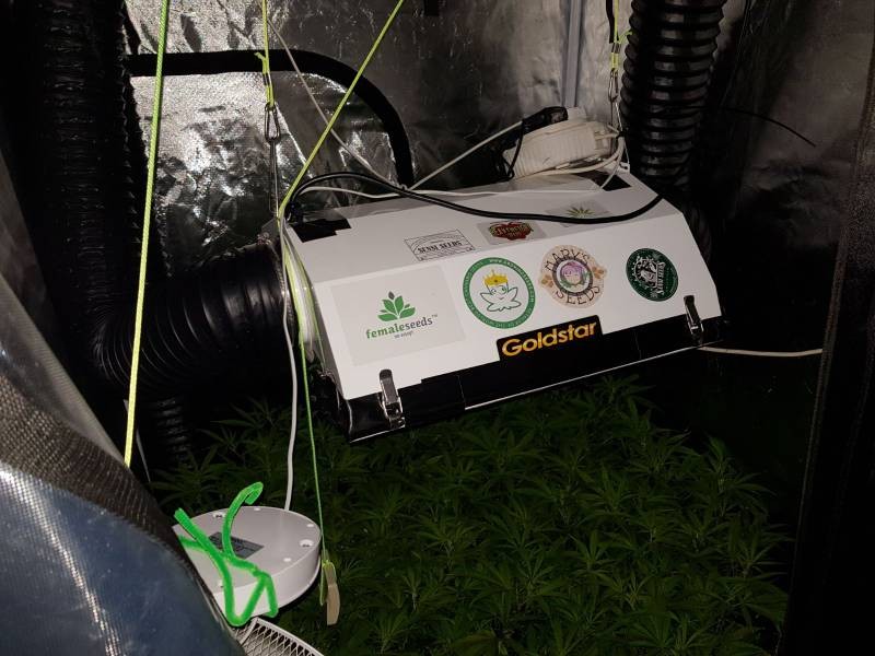 b3089b5a76f1642299c3a3f01c315415