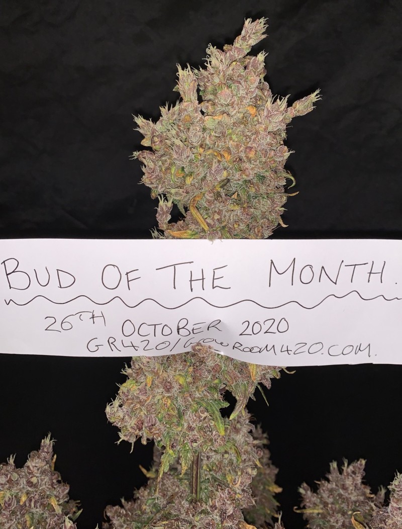 A569FD21-1E09-451B-83D2-55A7524DC702